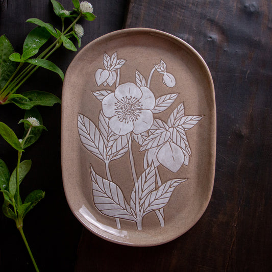 Red Sandstone Sgraffito Hellebore Tray