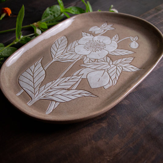 Red Sandstone Sgraffito Hellebore Tray