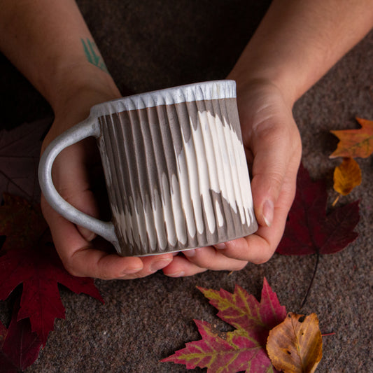 Desert Trail Mug #4 [10oz]