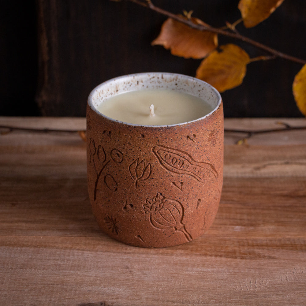 Autumn Seeds Soy Candle [Citrus Cinnamon Scent]