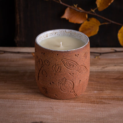 Autumn Seeds Soy Candle [Citrus Cinnamon Scent]