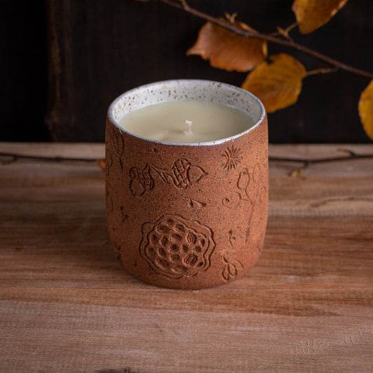 Autumn Seeds Soy Candle [Citrus Cinnamon Scent]
