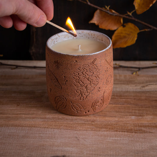 Autumn Seeds Soy Candle [Citrus Cinnamon Scent]